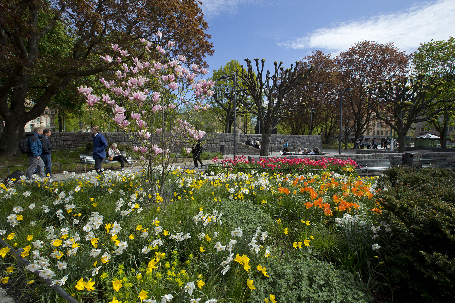 Människor och blommor i parken vid Norra Bantorget